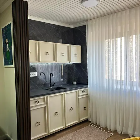 Dukley Family Near Center Podgoriçe