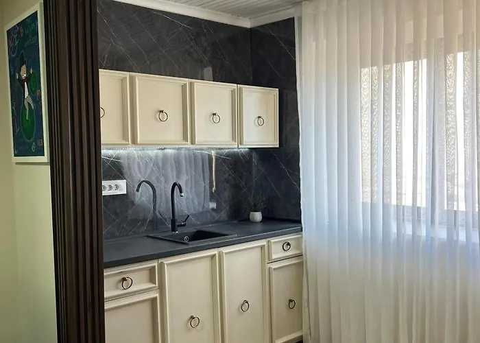 Dukley Family Near Center Podgorica